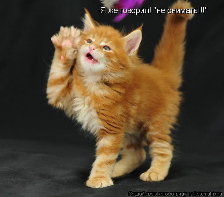 Котоматрица: -Я же говорил! "не снимать!!!"