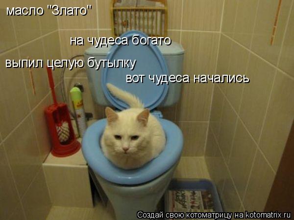 масло "Злато" на чудеса богато выпил целую бутылку вот чудеса начались... Котоматрица: масло "Злато" на чудеса богато выпил целую бутылку вот чудеса начались