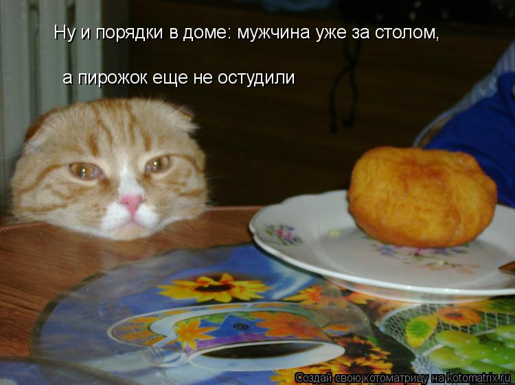 Ну и порядки в доме: мужчина уже за столом, а пирожок еще не остудили... Котоматрица: Ну и порядки в доме: мужчина уже за столом, а пирожок еще не остудили