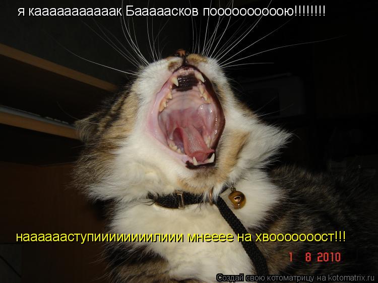 Котоматрица: я кааааааааааак Бааааасков поооооооооою!!!!!!!! нааааааступиииииииилиии мнееее на хвооооооост!!!