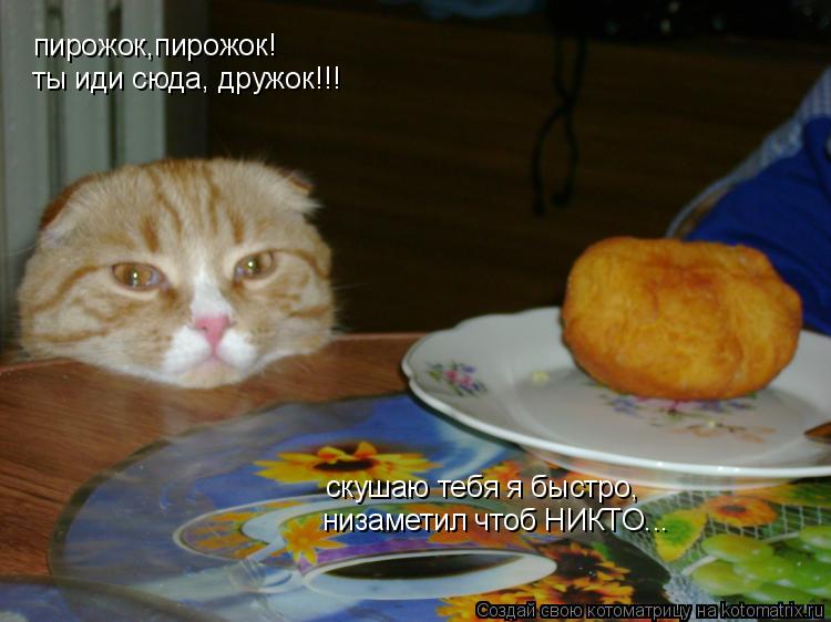 пирожок,пирожок! ты иди сюда, дружок!!! скушаю тебя я быстро, низаметил чтоб НИКТО...... Котоматрица: пирожок,пирожок! ты иди сюда, дружок!!! скушаю тебя я быстро, низаметил чтоб НИКТО...