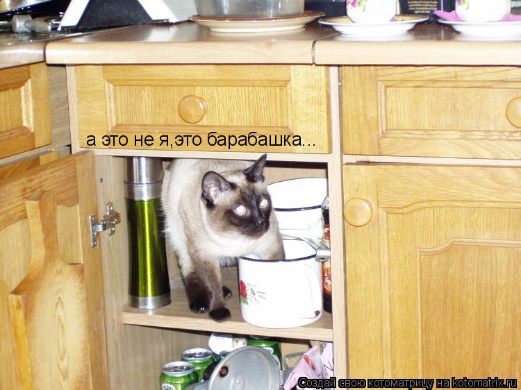 а это не я,это барабашка...... Котоматрица: а это не я,это барабашка...