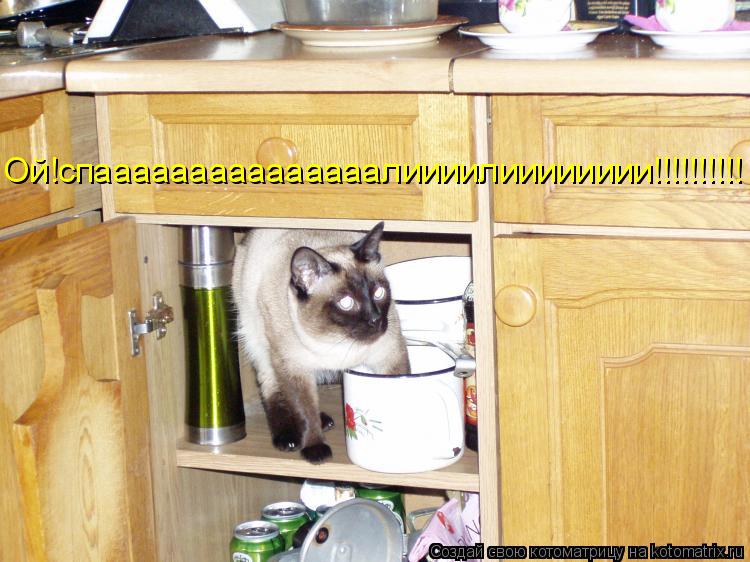 Ой!спааааааааааааааалиииилииииииии!!!!!!!!!!... Котоматрица: Ой!спааааааааааааааалиииилииииииии!!!!!!!!!!