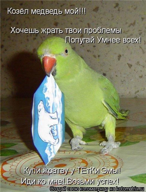 Козёл медведь мой!!! Хочешь жрать твои проблемы Купи жратву у ТЕтКи Эмы! Попугай Умнее всех! Иди ко м... Котоматрица: Козёл медведь мой!!! Хочешь жрать твои проблемы Купи жратву у ТЕтКи Эмы! Попугай Умнее всех! Иди ко мне!.Возьми успех!