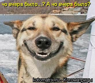 чо вчера было...? чо вчера было...? А чо вчера было?... Котоматрица: чо вчера было...? чо вчера было...? А чо вчера было?