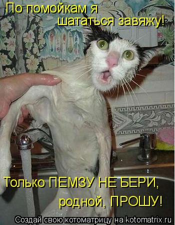 Котоматрица: По помойкам я шататься завяжу! родной, ПРОШУ! Только ПЕМЗУ НЕ БЕРИ,
