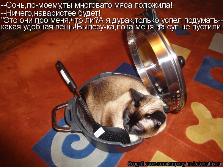 --Сонь,по-моему,ты многовато мяса положила! --Ничего,наваристее будет! "Это они про меня,что ли?А я,д... Котоматрица: --Сонь,по-моему,ты многовато мяса положила! --Ничего,наваристее будет! "Это они про меня,что ли?А я,дурак,только успел подумать-- какая удобная