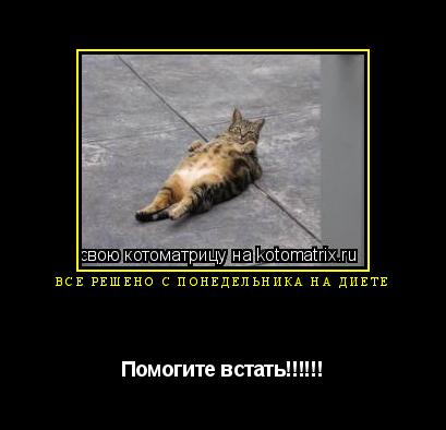 Котоматрица: Всё решено с понедельника на диете Помогите встать!!!!!!