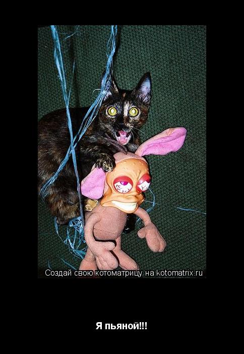 Бу-га-га!!! Я пьяной!!!... Котоматрица: Бу-га-га!!! Я пьяной!!!