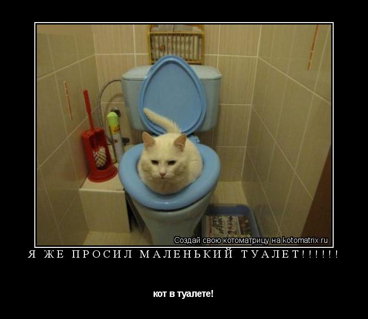 Котоматрица: я же просил маленький туалет!!!!!! кот в туалете!