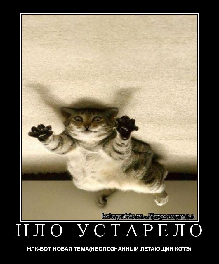 Котоматрица: НЛО устарело НЛК-ВОТ НОВАЯ ТЕМА(НЕОПОЗНАННЫЙ ЛЕТАЮЩИЙ КОТЭ)