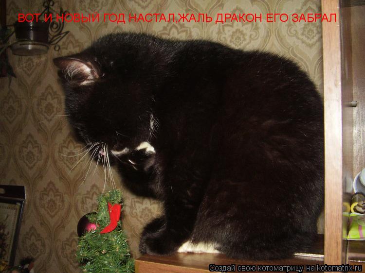 ВОТ И НОВЫЙ ГОД НАСТАЛ,ЖАЛЬ ДРАКОН ЕГО ЗАБРАЛ... Котоматрица: ВОТ И НОВЫЙ ГОД НАСТАЛ,ЖАЛЬ ДРАКОН ЕГО ЗАБРАЛ
