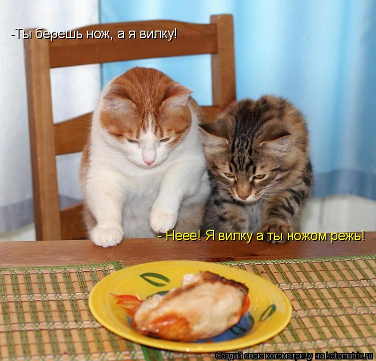 -Ты берешь нож, а я вилку! - Неее! Я вилку а ты ножом режь!... Котоматрица: -Ты берешь нож, а я вилку! - Неее! Я вилку а ты ножом режь!