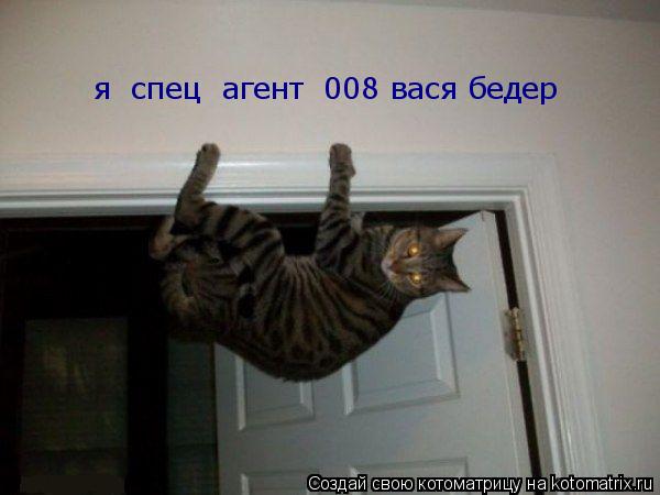 я спец агент 008 вася бедер... Котоматрица: я спец агент 008 вася бедер