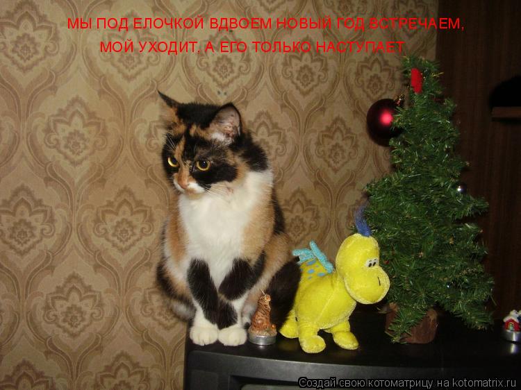 МЫ ПОД ЕЛОЧКОЙ ВДВОЕМ НОВЫЙ ГОД ВСТРЕЧАЕМ, МОЙ УХОДИТ, А ЕГО ТОЛЬКО НАСТУПАЕТ... Котоматрица: МЫ ПОД ЕЛОЧКОЙ ВДВОЕМ НОВЫЙ ГОД ВСТРЕЧАЕМ, МОЙ УХОДИТ, А ЕГО ТОЛЬКО НАСТУПАЕТ