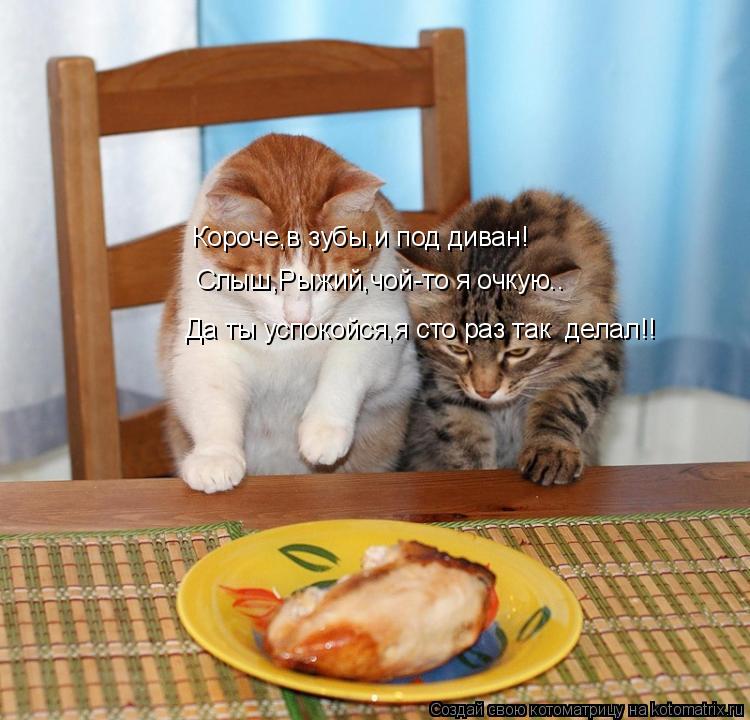 Короче,в зубы,и под диван! Слыш,Рыжий,чой-то я очкую.. Да ты успокойся,я сто раз так делал!!... Котоматрица: Короче,в зубы,и под диван! Слыш,Рыжий,чой-то я очкую.. Да ты успокойся,я сто раз так делал!!