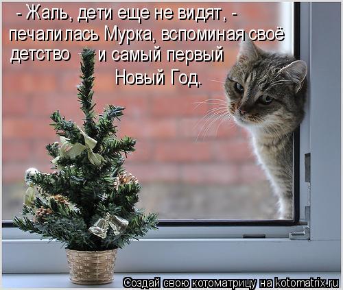 - Жаль, дети еще не видят, - печалилась Мурка, вспоминая своё детство и самый первый Новый Год.... Котоматрица: - Жаль, дети еще не видят, - печалилась Мурка, вспоминая своё детство и самый первый Новый Год.
