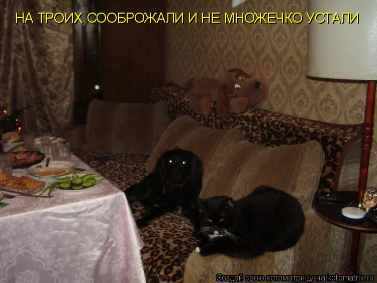 НА ТРОИХ СООБРОЖАЛИ И НЕ МНОЖЕЧКО УСТАЛИ... Котоматрица: НА ТРОИХ СООБРОЖАЛИ И НЕ МНОЖЕЧКО УСТАЛИ