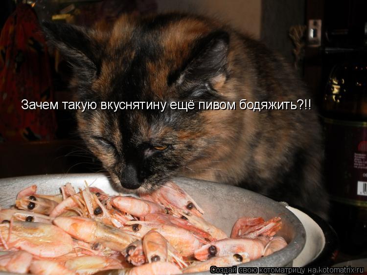 Зачем такую вкуснятину ещё пивом бодяжить?!!... Котоматрица: Зачем такую вкуснятину ещё пивом бодяжить?!!