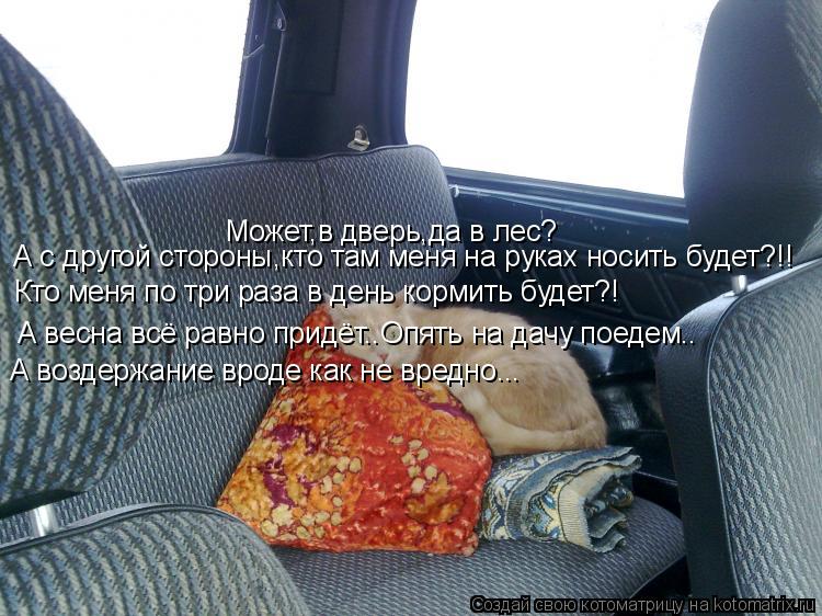 Может,в дверь,да в лес? А с другой стороны,кто там меня на руках носить будет?!! Кто меня по три раза... Котоматрица: Может,в дверь,да в лес? А с другой стороны,кто там меня на руках носить будет?!! Кто меня по три раза в день кормить будет?! А весна всё равно пр