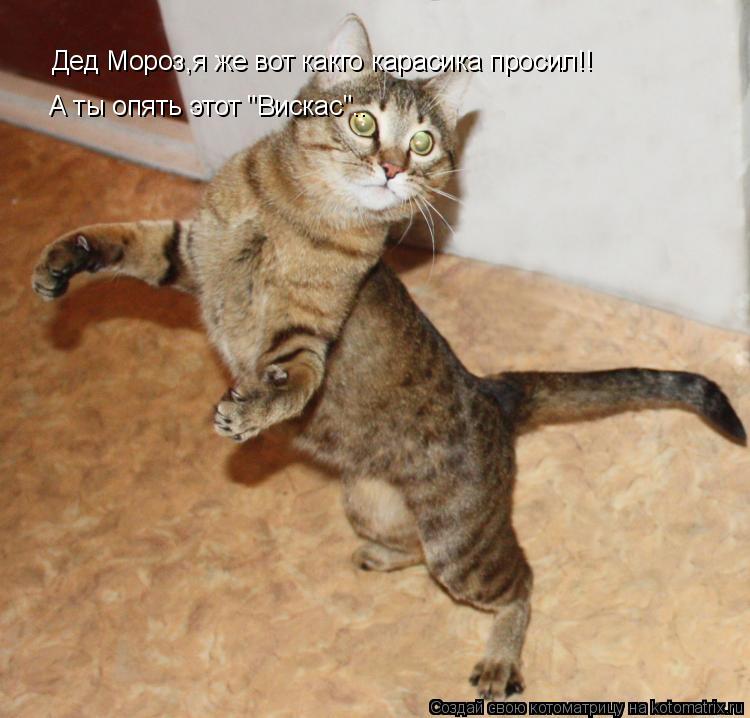 Дед Мороз,я же вот какго карасика просил!! А ты опять этот "Вискас"..... Котоматрица: Дед Мороз,я же вот какго карасика просил!! А ты опять этот "Вискас"..