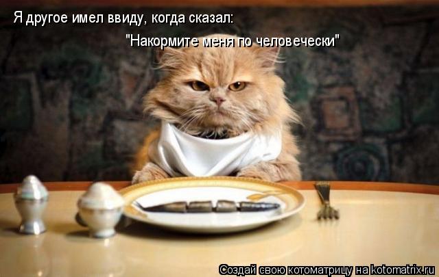 Я другое имел ввиду, когда сказал: "Накормите меня по человечески"... Котоматрица: Я другое имел ввиду, когда сказал: "Накормите меня по человечески"