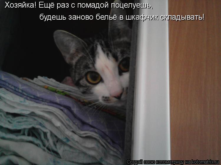 Хозяйка! Ещё раз с помадой поцелуешь, будешь заново бельё в шкафчик складывать!... Котоматрица: Хозяйка! Ещё раз с помадой поцелуешь, будешь заново бельё в шкафчик складывать!