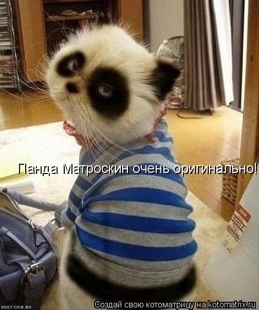 Панда Матроскин очень оригинально!... Котоматрица: Панда Матроскин очень оригинально!