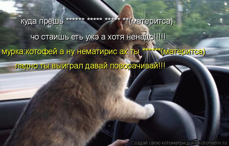 куда прёшь ****** ***** ***** **(материтса) чо стаишь еть ужэ а хотя ненадо!!!!! мурка:котофей а ну н... Котоматрица: куда прёшь ****** ***** ***** **(материтса) чо стаишь еть ужэ а хотя ненадо!!!!! мурка:котофей а ну нематирис ах ты ******(материтса) ладно ты выиграл