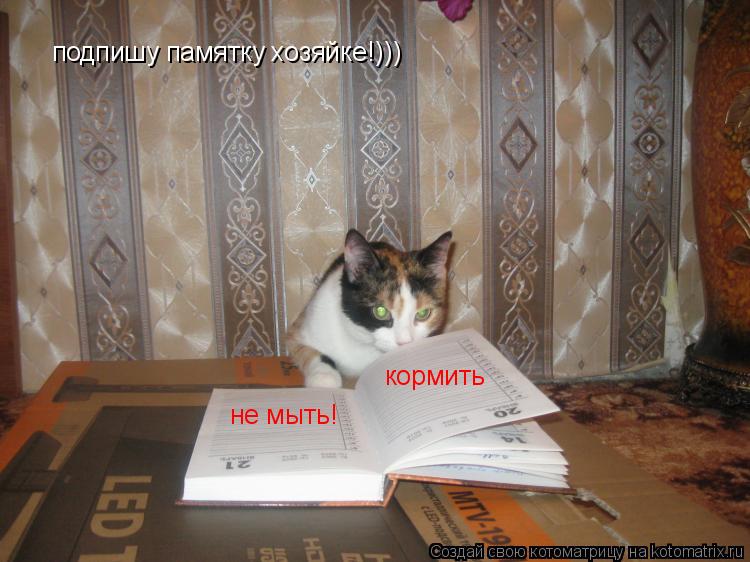 подпишу памятку хозяйке!))) кормить не мыть!... Котоматрица: подпишу памятку хозяйке!))) кормить не мыть!