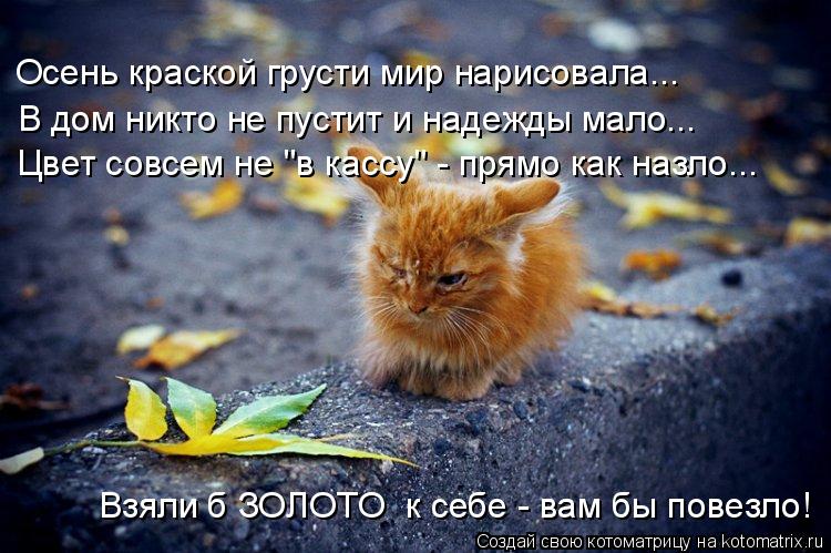 Осень не грусти стих Осень не грусти стих