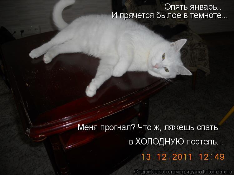 Меня прогнал? Что ж, ляжешь спать в ХОЛОДНУЮ постель... Опять январь.. И прячется былое в темноте...... Котоматрица: Меня прогнал? Что ж, ляжешь спать в ХОЛОДНУЮ постель... Опять январь.. И прячется былое в темноте...