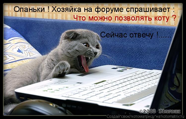 Опаньки ! Хозяйка на форуме спрашивает : Что можно позволять коту ? Сейчас отвечу !......... Котоматрица: Опаньки ! Хозяйка на форуме спрашивает : Что можно позволять коту ? Сейчас отвечу !......