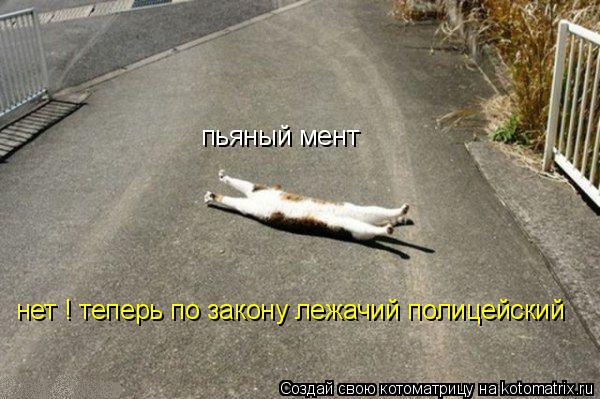 пьяный мент нет ! теперь по закону лежачий полицейский... Котоматрица: пьяный мент нет ! теперь по закону лежачий полицейский