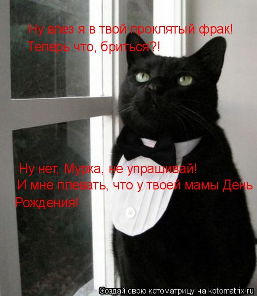 Ну влез я в твой проклятый фрак! Теперь что, бриться?! Ну нет, Мурка, не упрашивай! И мне плевать, чт... Котоматрица: Ну влез я в твой проклятый фрак! Теперь что, бриться?! Ну нет, Мурка, не упрашивай! И мне плевать, что у твоей мамы День Рождения!