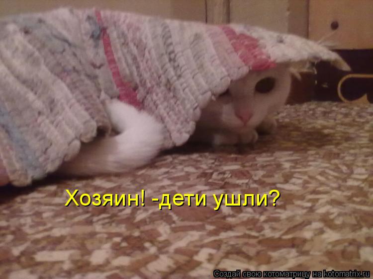 Хозяин! -дети ушли?... Котоматрица: Хозяин! -дети ушли?