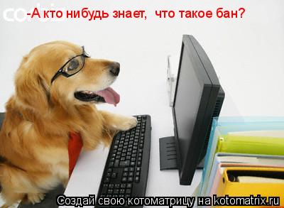 -А кто нибудь знает, что такое бан?... Котоматрица: -А кто нибудь знает, что такое бан?
