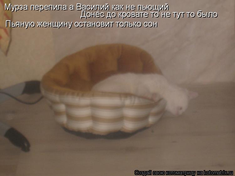 Мурза перепила а Василий как не пьющий Донёс до кровате то не тут то было Пьяную женщину остановит ... Котоматрица: Мурза перепила а Василий как не пьющий Донёс до кровате то не тут то было Пьяную женщину остановит только сон