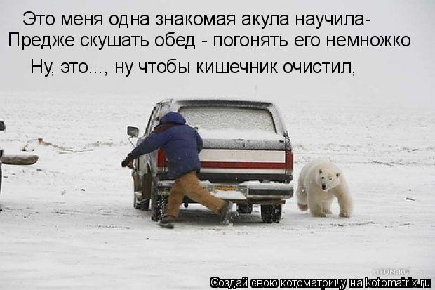 Это меня одна знакомая акула научила- Ну, это..., ну чтобы кишечник очистил, Предже скушать обед - по... Котоматрица: Это меня одна знакомая акула научила- Ну, это..., ну чтобы кишечник очистил, Предже скушать обед - погонять его немножко