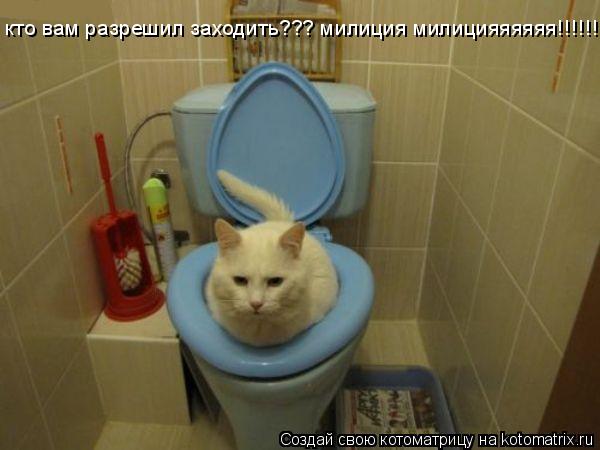 кто вам разрешил заходить??? милиция милицияяяяяя!!!!!!!!... Котоматрица: кто вам разрешил заходить??? милиция милицияяяяяя!!!!!!!!