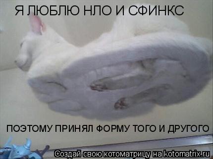 Я ЛЮБЛЮ НЛО И СФИНКС ПОЭТОМУ ПРИНЯЛ ФОРМУ ТОГО И ДРУГОГО... Котоматрица: Я ЛЮБЛЮ НЛО И СФИНКС ПОЭТОМУ ПРИНЯЛ ФОРМУ ТОГО И ДРУГОГО