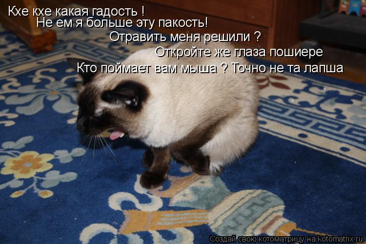 Кхе кхе какая гадость ! Не ем я больше эту пакость! Отравить меня решили ? Откройте же глаза пошиере ... Котоматрица: Кхе кхе какая гадость ! Не ем я больше эту пакость! Отравить меня решили ? Откройте же глаза пошиере Кто поймает вам мыша ? Точно не та лапша