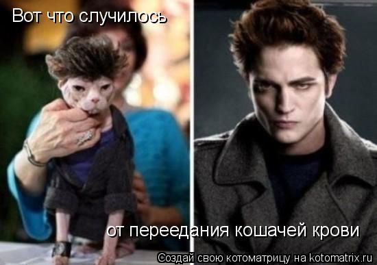 Вот что случилось от переедания кошачей крови... Котоматрица: Вот что случилось от переедания кошачей крови