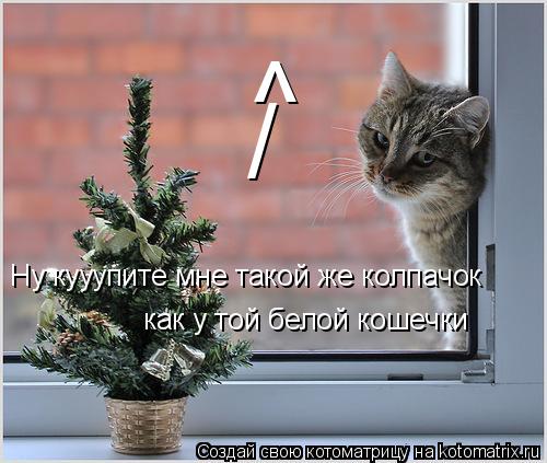 ^ / Ну кууупите мне такой же колпачок как у той белой кошечки... Котоматрица: ^ / Ну кууупите мне такой же колпачок как у той белой кошечки