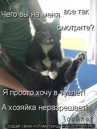 Чего вы на меня все так смотрите? Я просто хочу в туалет! А хозяйка неразрешает!... Котоматрица: Чего вы на меня все так смотрите? Я просто хочу в туалет! А хозяйка неразрешает!