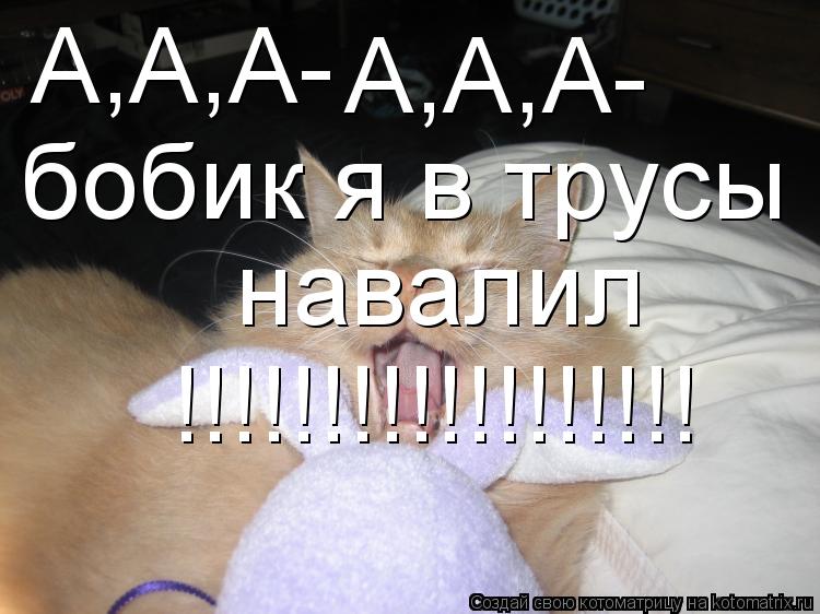 А,А,А- А,А,А- бобик я в трусы навалил !!!!!!!!!!!!!!!!!!... Котоматрица: А,А,А- А,А,А- бобик я в трусы навалил !!!!!!!!!!!!!!!!!!