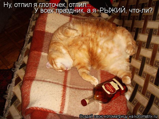 Ну, отпил я глоточек отпил... Ну, отпил я глоточек, отпил... Ну, отпил я глоточек, отпил... У всех пр... Котоматрица: Ну, отпил я глоточек отпил... Ну, отпил я глоточек, отпил... Ну, отпил я глоточек, отпил... У всех праздник, а я РЫЖИЙ, что-ли?