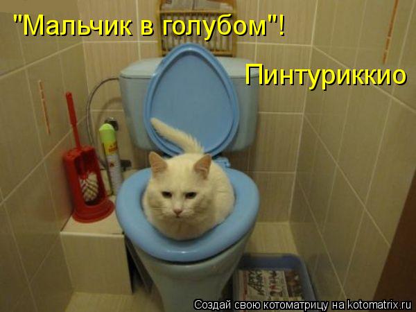 Пинтуриккио "Мальчик в голубом"!... Котоматрица: Пинтуриккио "Мальчик в голубом"!