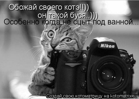Обожай своего котэ!!)) он такой буся..))) Особенно когда не сцыт под ванной...... Котоматрица: Обожай своего котэ!!)) он такой буся..))) Особенно когда не сцыт под ванной...