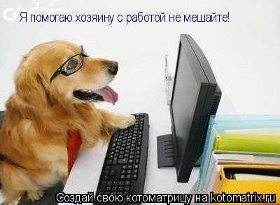 Я помогаю хозяину с работой не мешайте!... Котоматрица: Я помогаю хозяину с работой не мешайте!